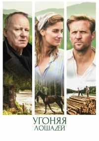 Угоняя лошадей (2019)