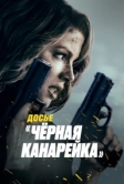 Досье «Чёрная канарейка» (2024)
