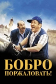 Бобро поржаловать! (2008)