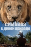 Симбиоз в дикой природе (2023)